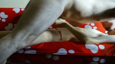 Live ABG Bispak Jakarta Di Hotel Bintang Lima Mewah